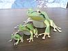 A trio of tree frogs-p1000384.jpg